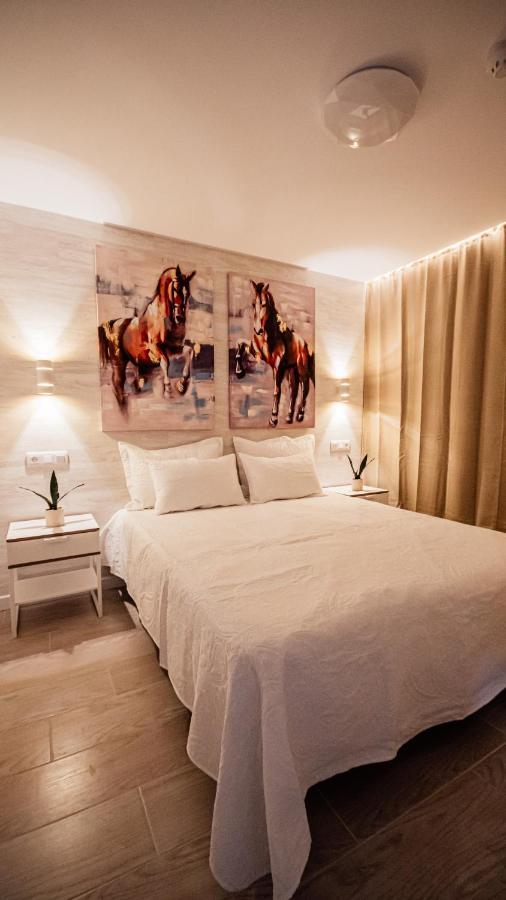 Appartement Don Quijote *