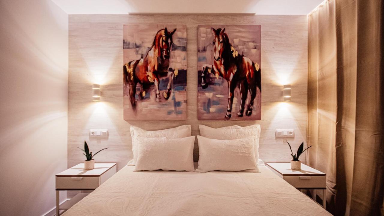 Don Quijote Apartment San Bartolomé